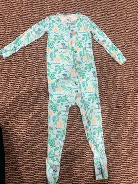 Birdie Bean bamboo turtle 3t convertible romper